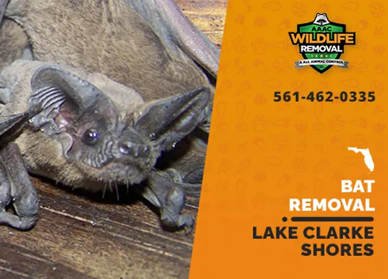 Bat Removal Lake Clarke Shores