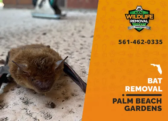 Bat Removal Palm Beach Gardens