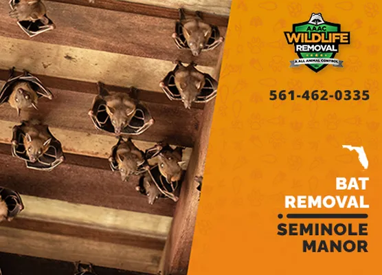 Bat Removal Seminole Manor