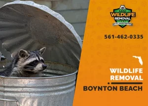 Boynton Beach Wildlife Removal professional removing pest animal