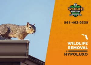 Hypoluxo Wildlife Removal professional removing pest animal