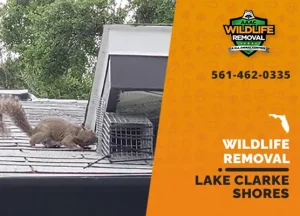 Lake Clarke Shores Wildlife Removal professional removing pest animal