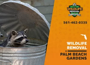 Palm Beach Gardens Wildlife Removal professional removing pest animal