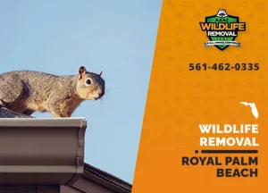 Royal Palm Beach Wildlife Removal professional removing pest animal