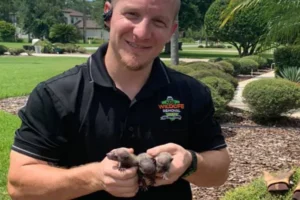 Owner Alex holding young raccoons